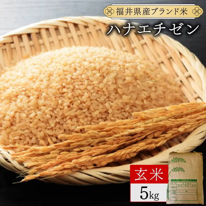 【定期便6回】 ハナエチゼン 玄米 5kg（5kg×1）令和8年産 [095-t06-a027]