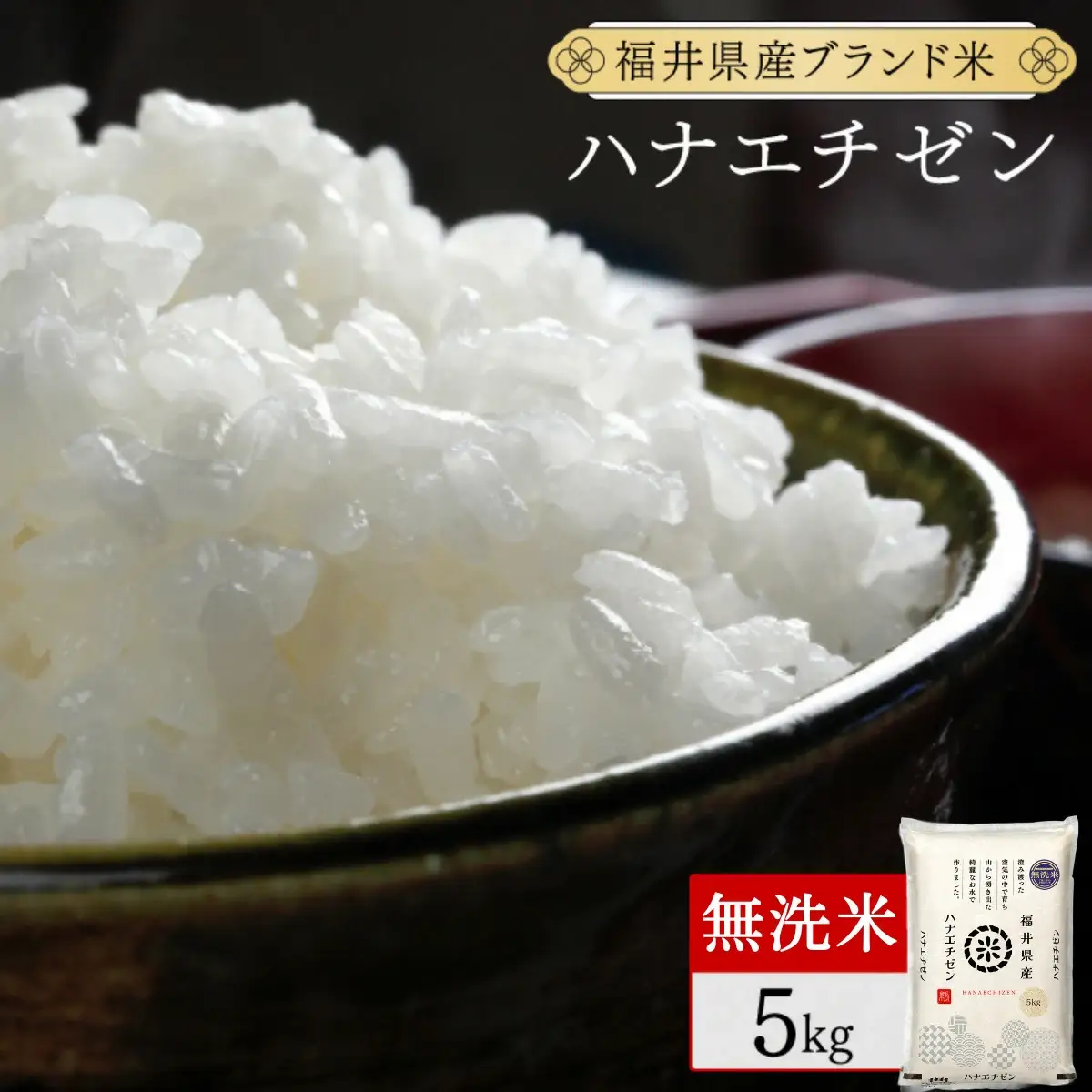 【定期便12回】ハナエチゼン 無洗米 5kg（5kg×1）令和8年産 [095-t12-a528]