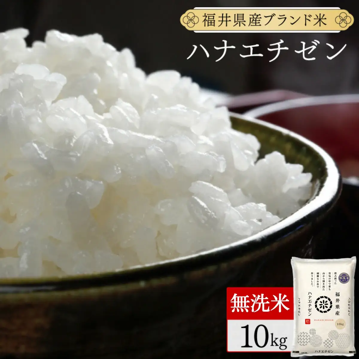 【定期便12回】ハナエチゼン 無洗米 10kg（10kg×1）令和8年産 [095-t12-a128]