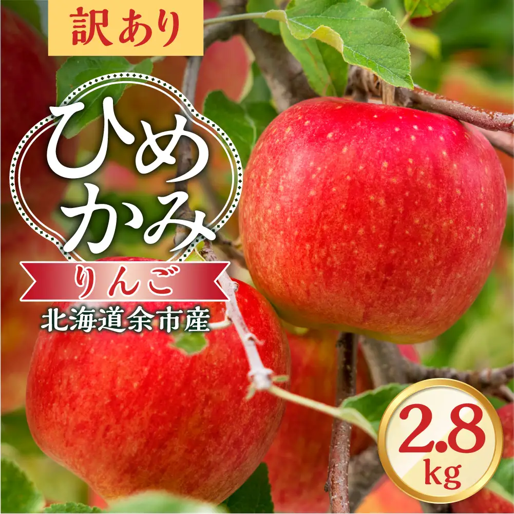 【先行予約：2026年10月上旬より発送】訳アリ りんご（ひめかみ）2.8kg【北海道余市町産】_Y103-0096