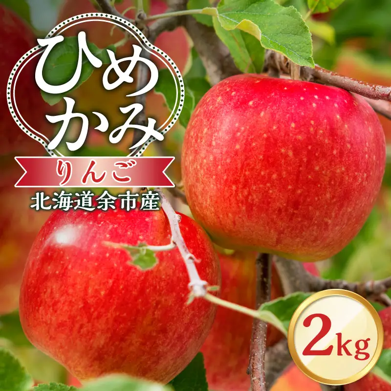 【先行予約：2026年10月上旬より発送】りんご（ひめかみ）2kg【北海道余市町産】_Y103-0097