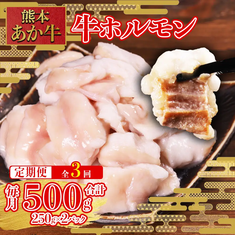 【定期便3回】希少な和牛ホルモン！ 熊本和牛 あか牛 ホルモン 500g (250g×2パック) × 3回
