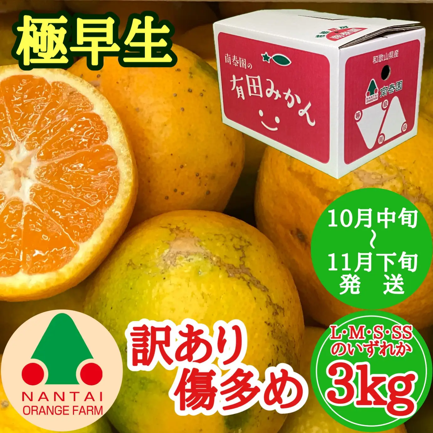 訳あり 傷多め 極早生 有田 みかん 3kg L～SS サイズおまかせ 南泰園 和歌山 有田みかん