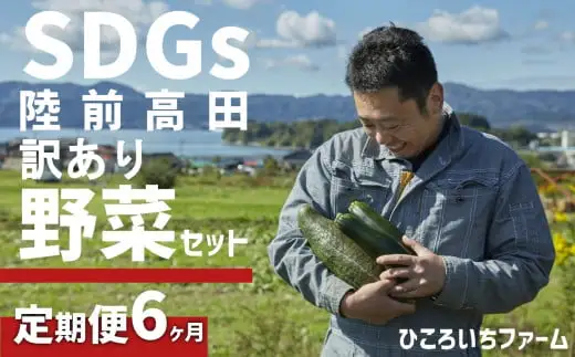 【定期便6ヶ月】農家のおすそわけ（訳アリ）野菜便【 農家 野菜詰め合わせ 野菜 詰め合わせ セット 訳あり 】RT3404