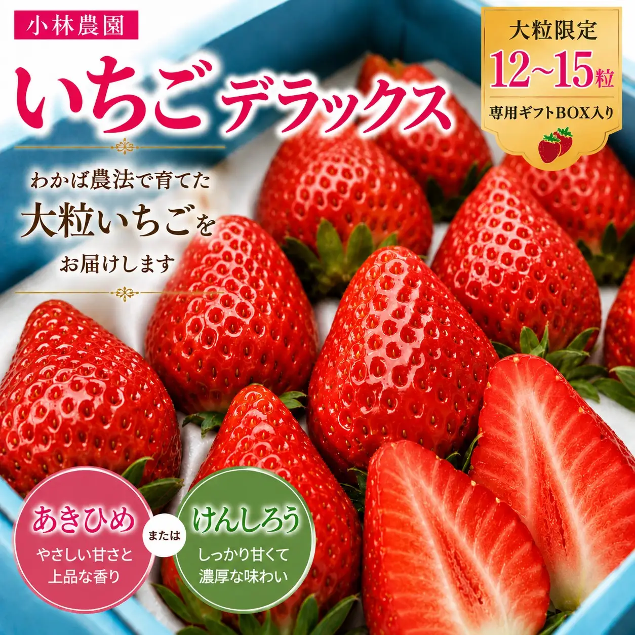 いちご 苺 イチゴ 大粒 デラックスセット 12～15粒 あきひめ けんしろう 専用ギフトBOX 産地直送 鳥取県 湯梨浜町 小林農園 | 25MZ