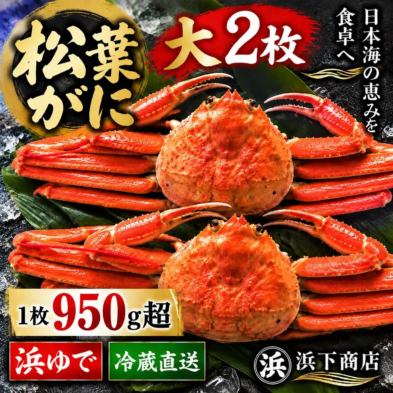 松葉ガニ 浜ゆで 950g以上 2枚 特大 タグ付き 蟹 かに 松葉蟹 浜下商店 | 52MZ