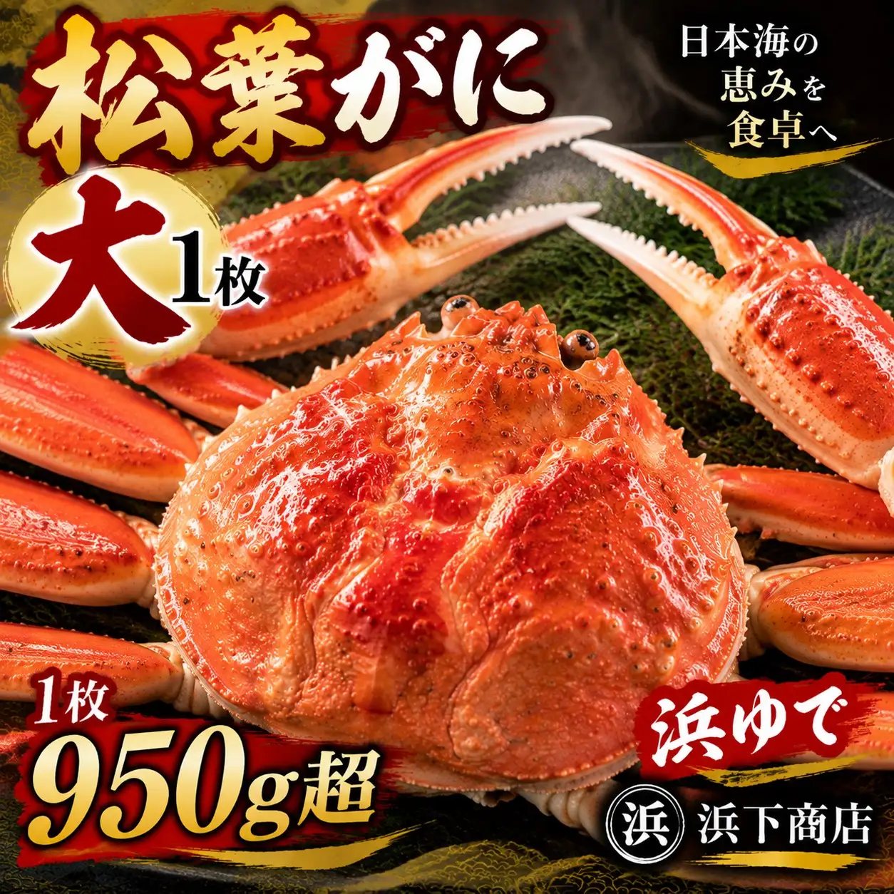 松葉ガニ 浜ゆで 950g以上 1枚 特大 タグ付き 蟹 かに 松葉蟹 浜下商店 | 53MZ