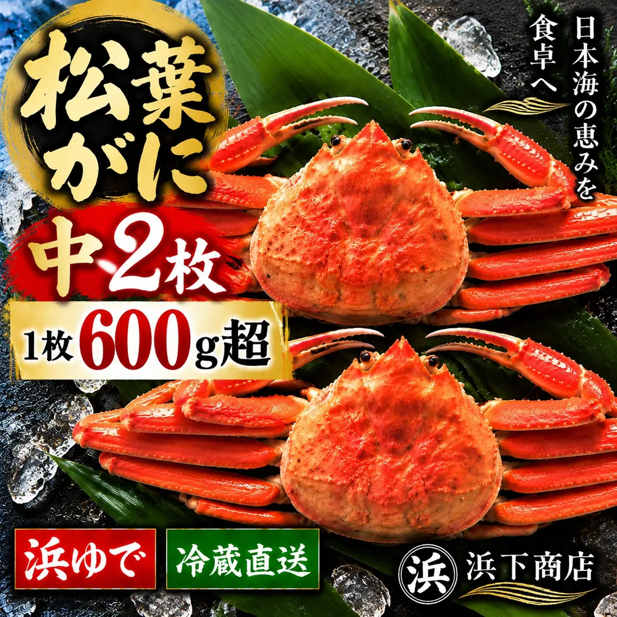 松葉ガニ 浜ゆで 600g以上 2枚 中サイズ タグ付き 蟹 かに 松葉蟹 浜下商店 | 54MZ