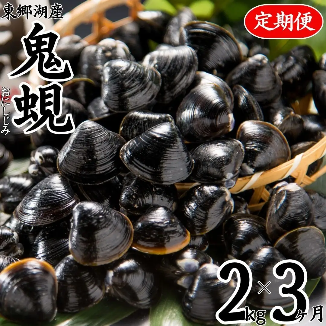 選べる 内容量 定期便 大粒 冷凍 しじみ 鬼蜆 特大 2kg 3ヶ月 | おにしじみ 東郷湖 特大 大きい 砂抜き 不要 加熱用 直送 新鮮 味噌汁 みそ汁 パスタ ボンゴレ 肝臓 二日酔い オルニチン ダイヤ 鳥取県 湯梨浜町 名産 特産品 人気 おすすめ 送料無料 59MZ