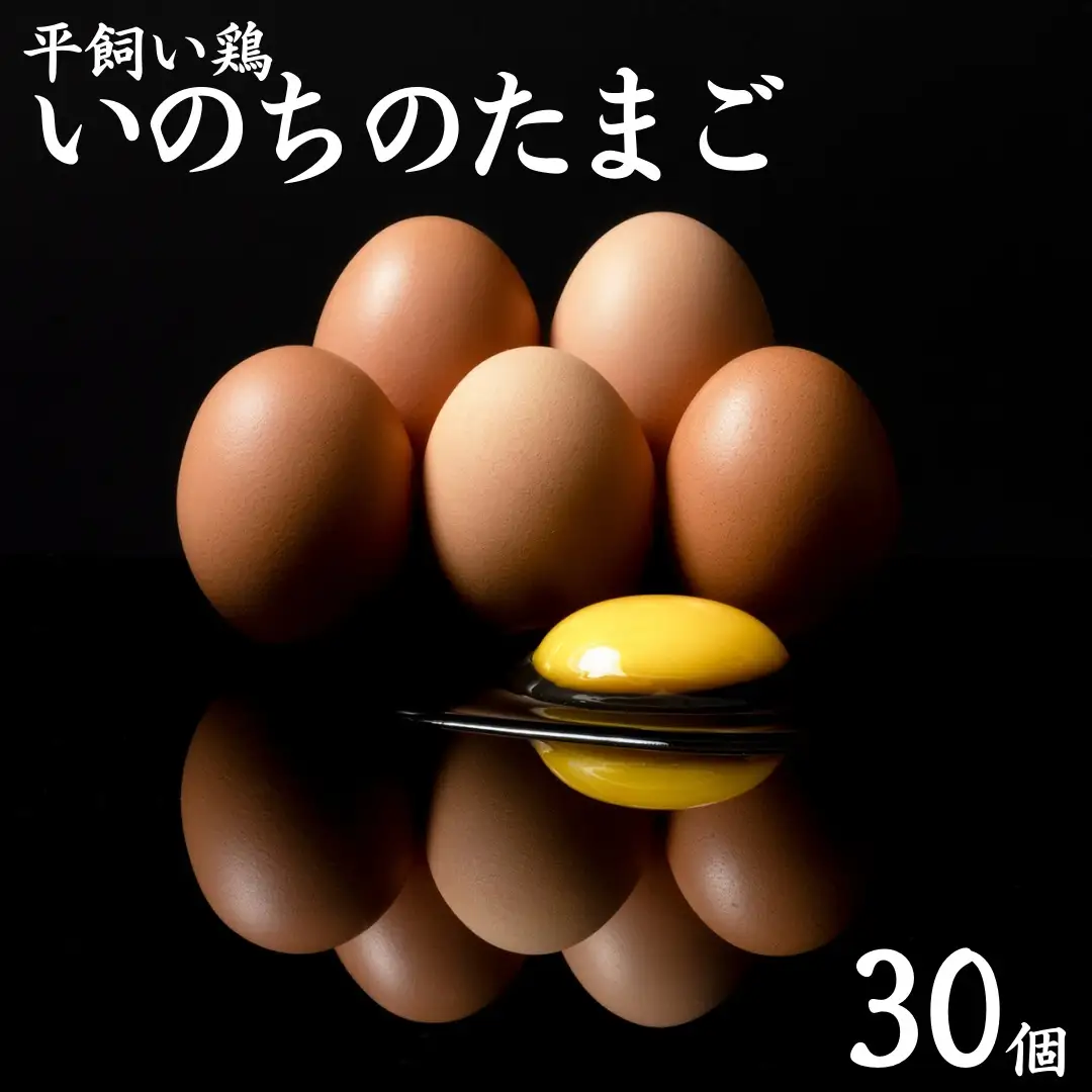 産地直送 卵 30個 食べチョク アワード 2025 総合4位 受賞 平飼い 鶏 いのちの たまご | タマゴ 玉子 111MZ