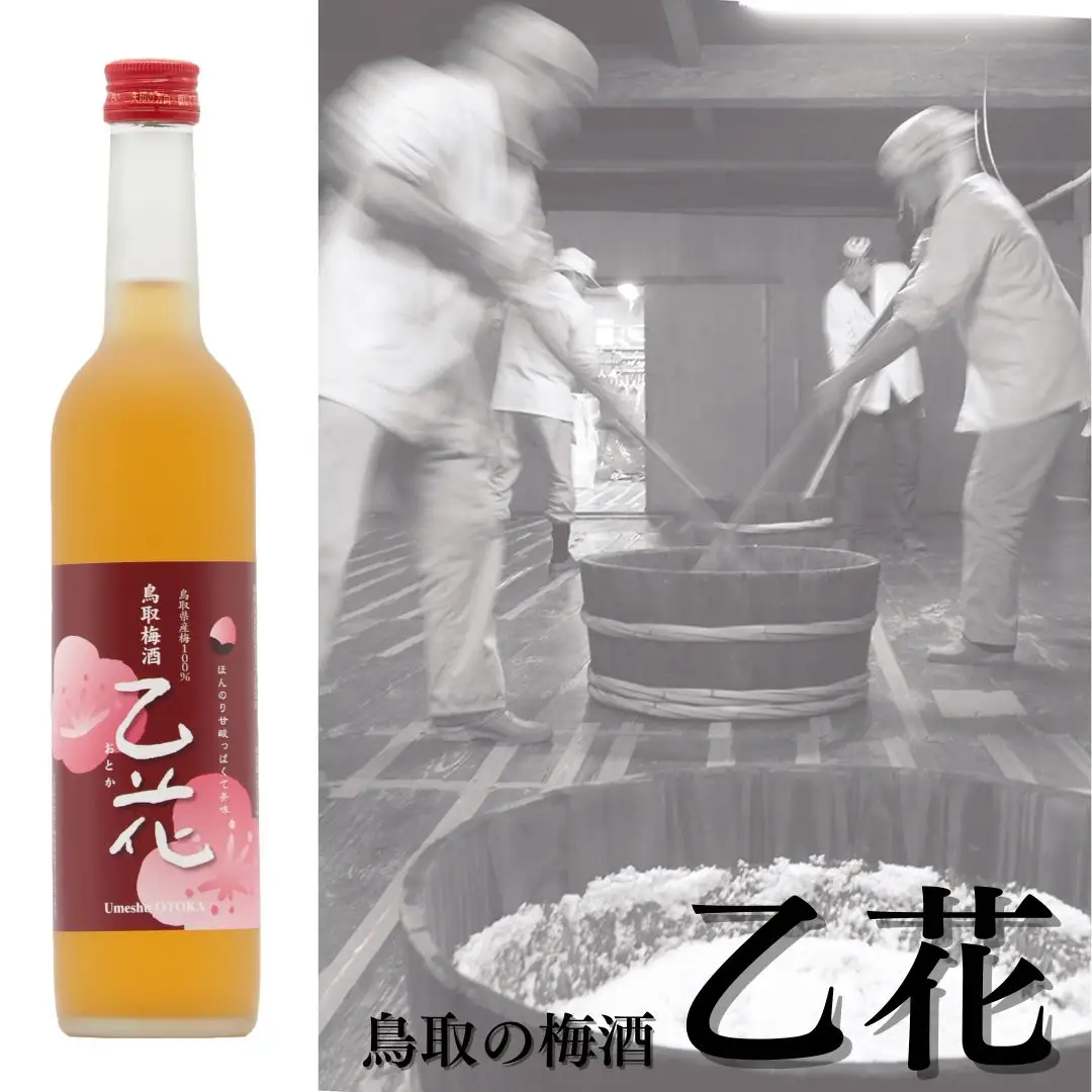 136MZ.鳥取の梅酒『乙花』