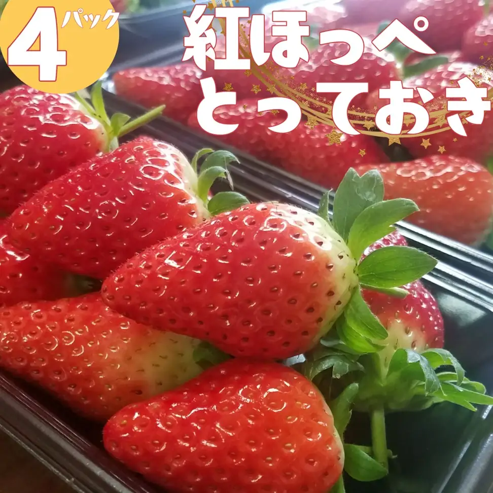 いちご 苺 イチゴ ハワイ 紅ほっぺ とっておき