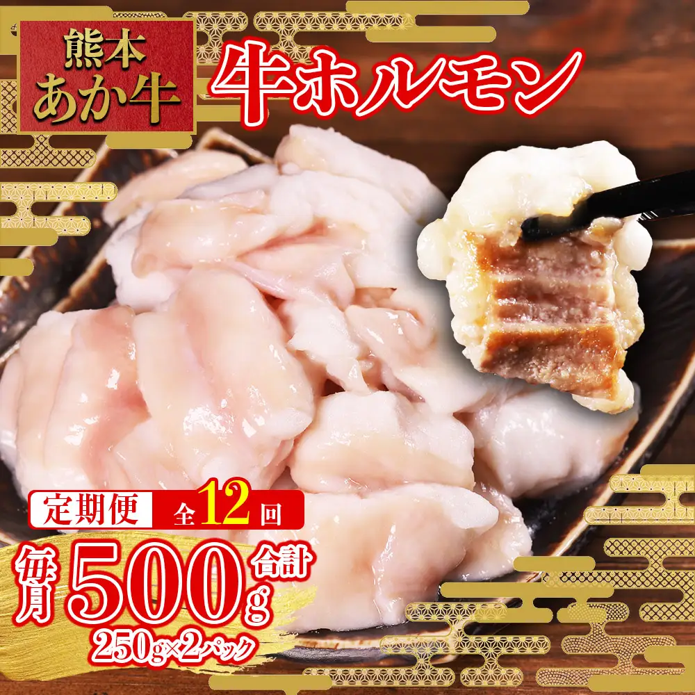 【定期便12回】希少な和牛ホルモン！ 熊本和牛 あか牛 ホルモン 500g (250g×2パック) × 12回