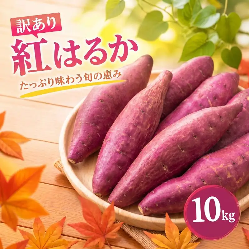 さつまいも 生芋 紅はるか 10kg 訳あり サツマイモ