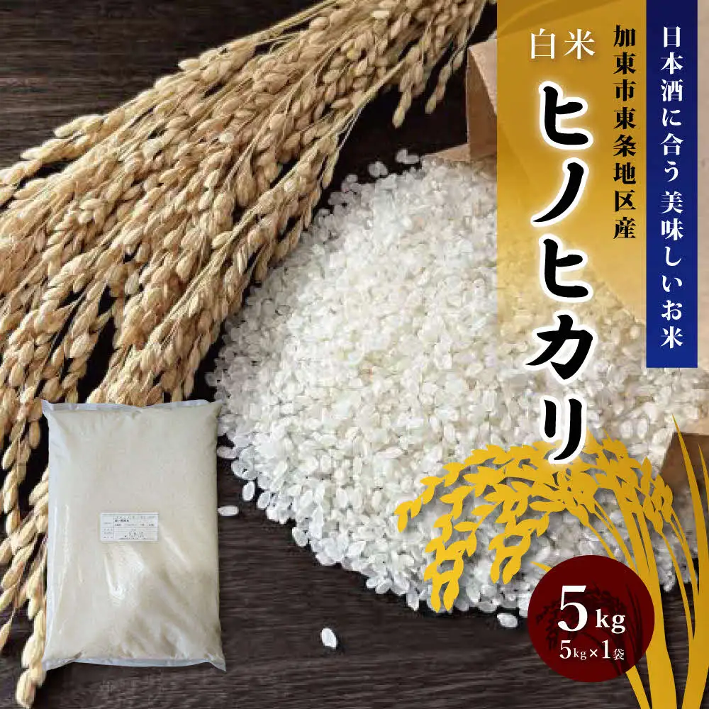 令和7年産 ヒノヒカリ 白米 5kg