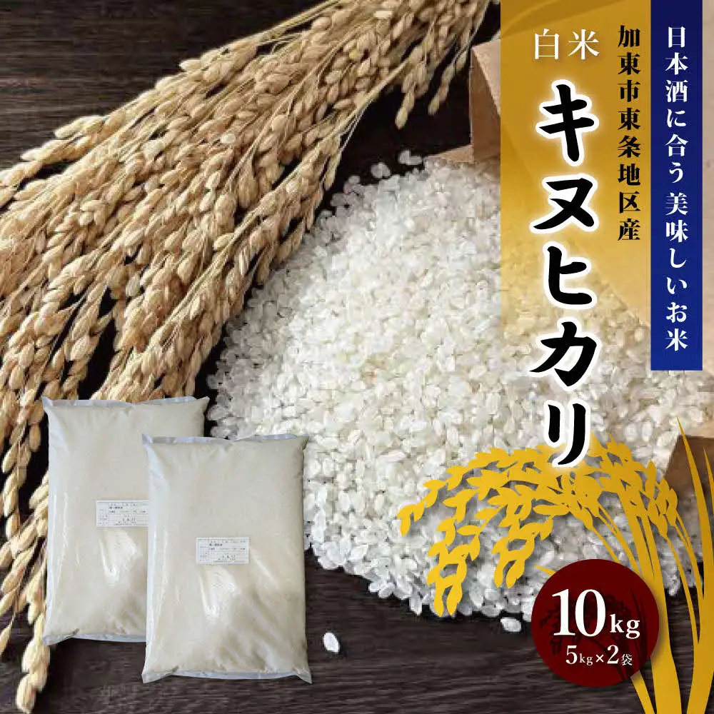 令和7年産 キヌヒカリ 白米 10kg (5kg×2)