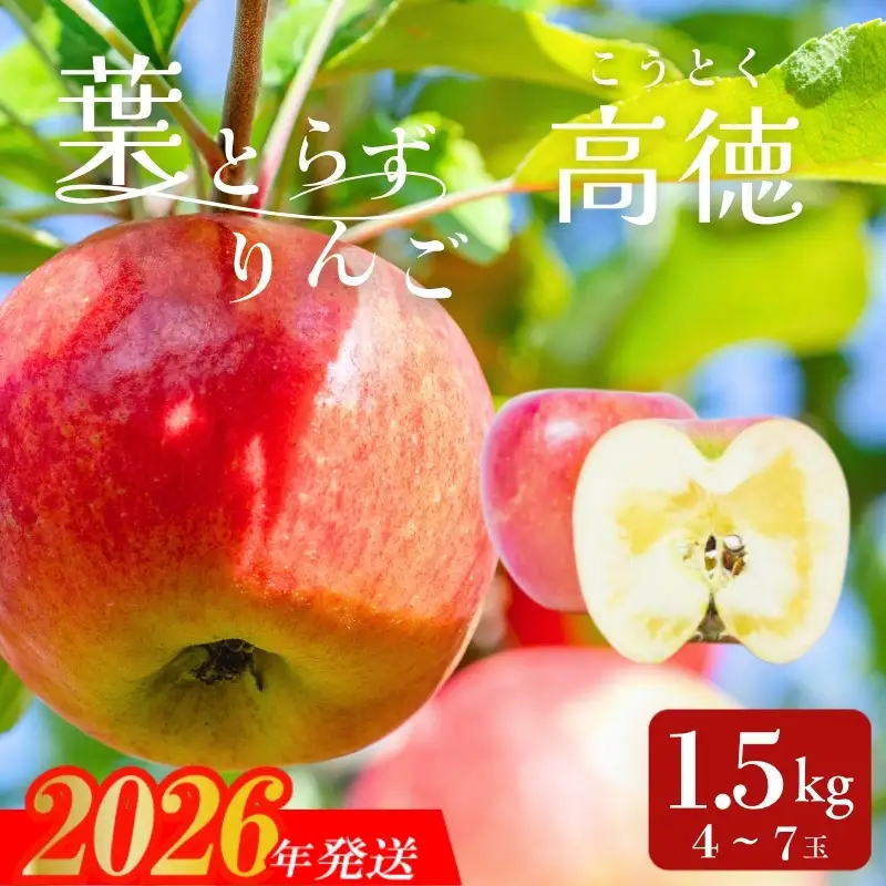 アグリード 福島市産 りんご 葉とらず林檎（高徳）約1.5kg（4～7玉）【2026年発送】No.3394