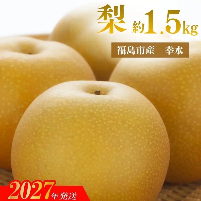 No.3397アグリード 福島市産 梨（幸水） 約1.5kg（4～6玉）【2027年発送】