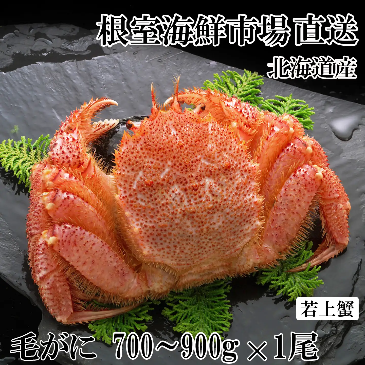 ボイル毛がに700～900g×1尾(若上蟹) B-14130