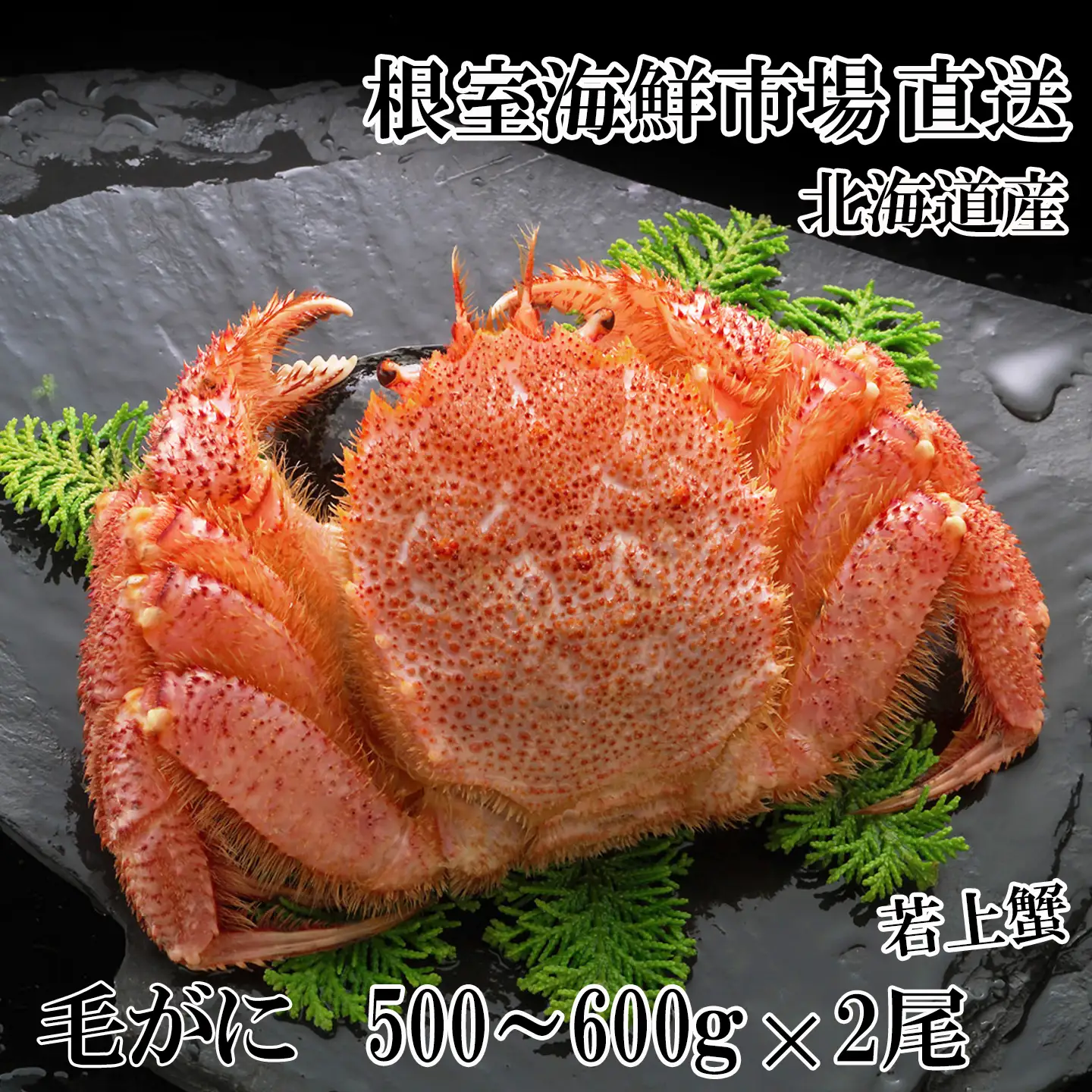 ボイル毛がに500～600g×2尾(若上蟹) C-14061