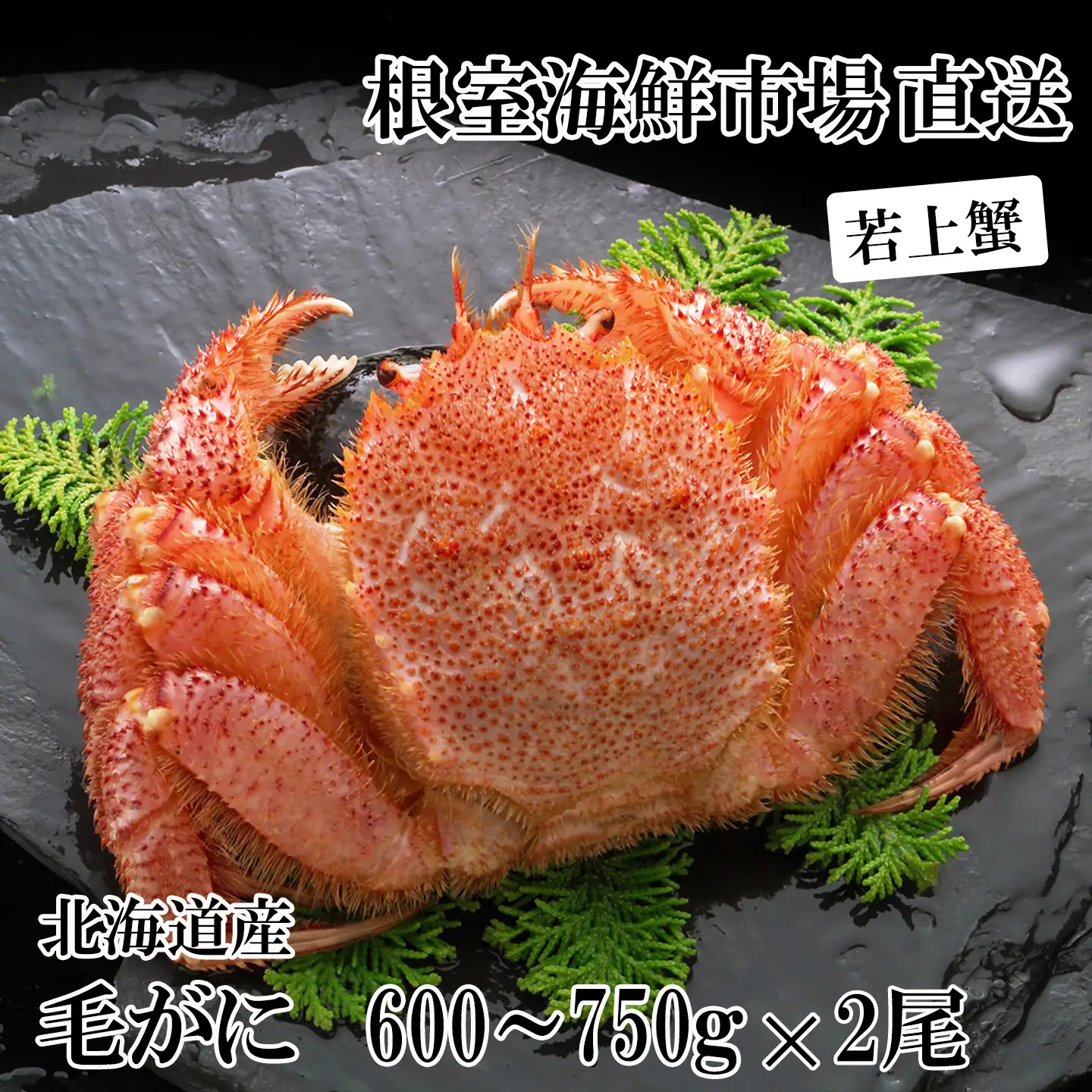 ボイル毛がに600～750g×2尾(若上蟹) F-14033