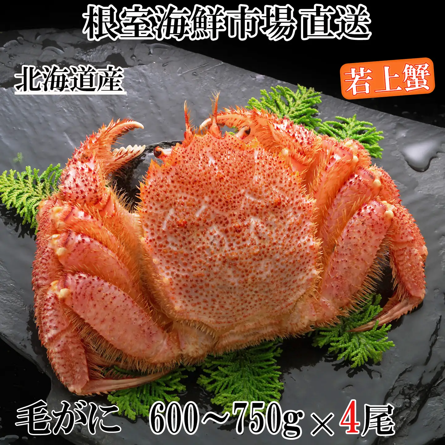ボイル毛がに600～750g×4尾(若上蟹) D-14066 | 北海道根室市