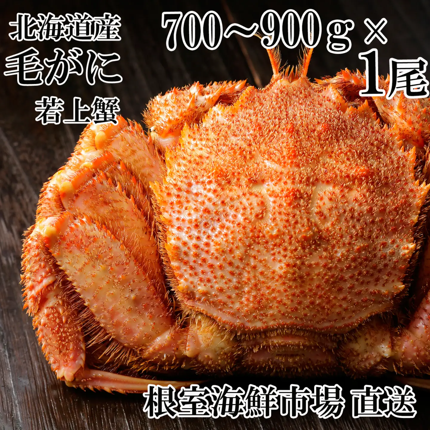 根室海鮮市場＜直送＞ボイル毛がに700～900g×1尾(若上蟹) B-28130