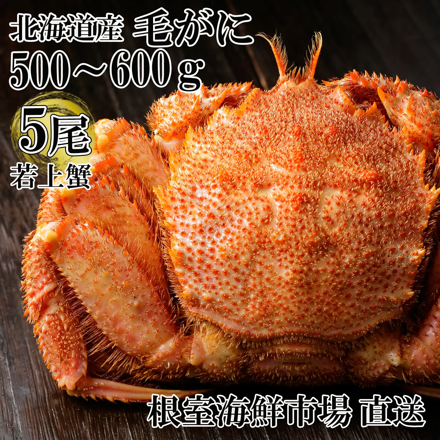 根室海鮮市場＜直送＞ボイル毛がに500～600g×5尾(若上蟹) D-28064