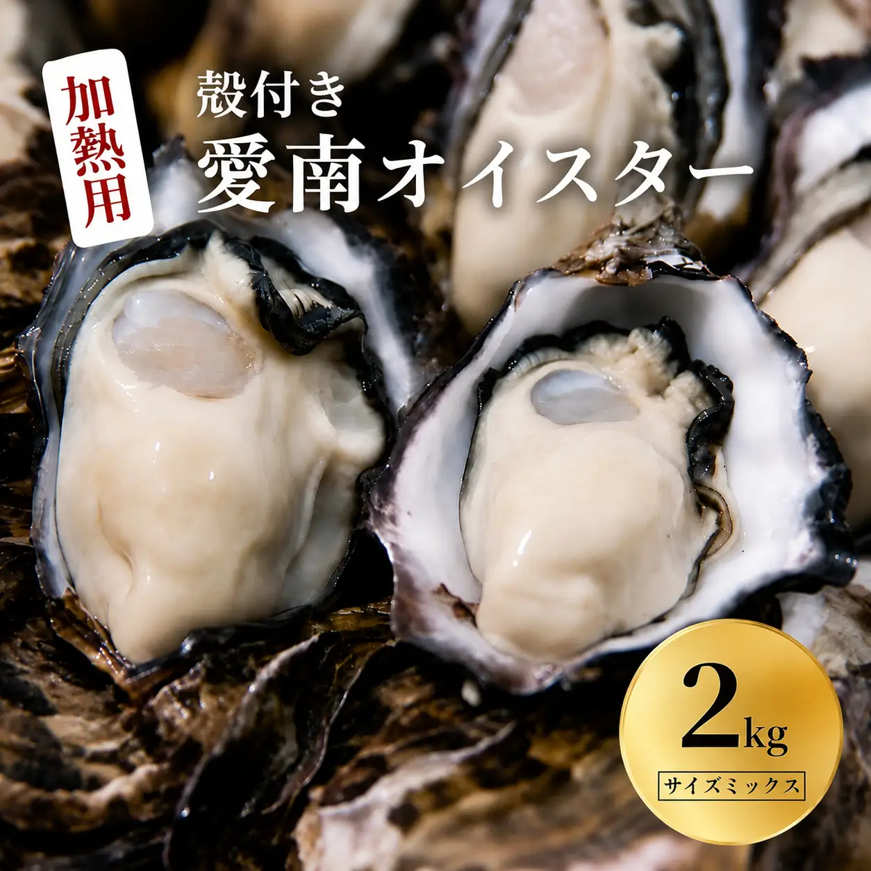 愛南 オイスター 2kg  牡蠣 加熱用 殻付き 牡蠣