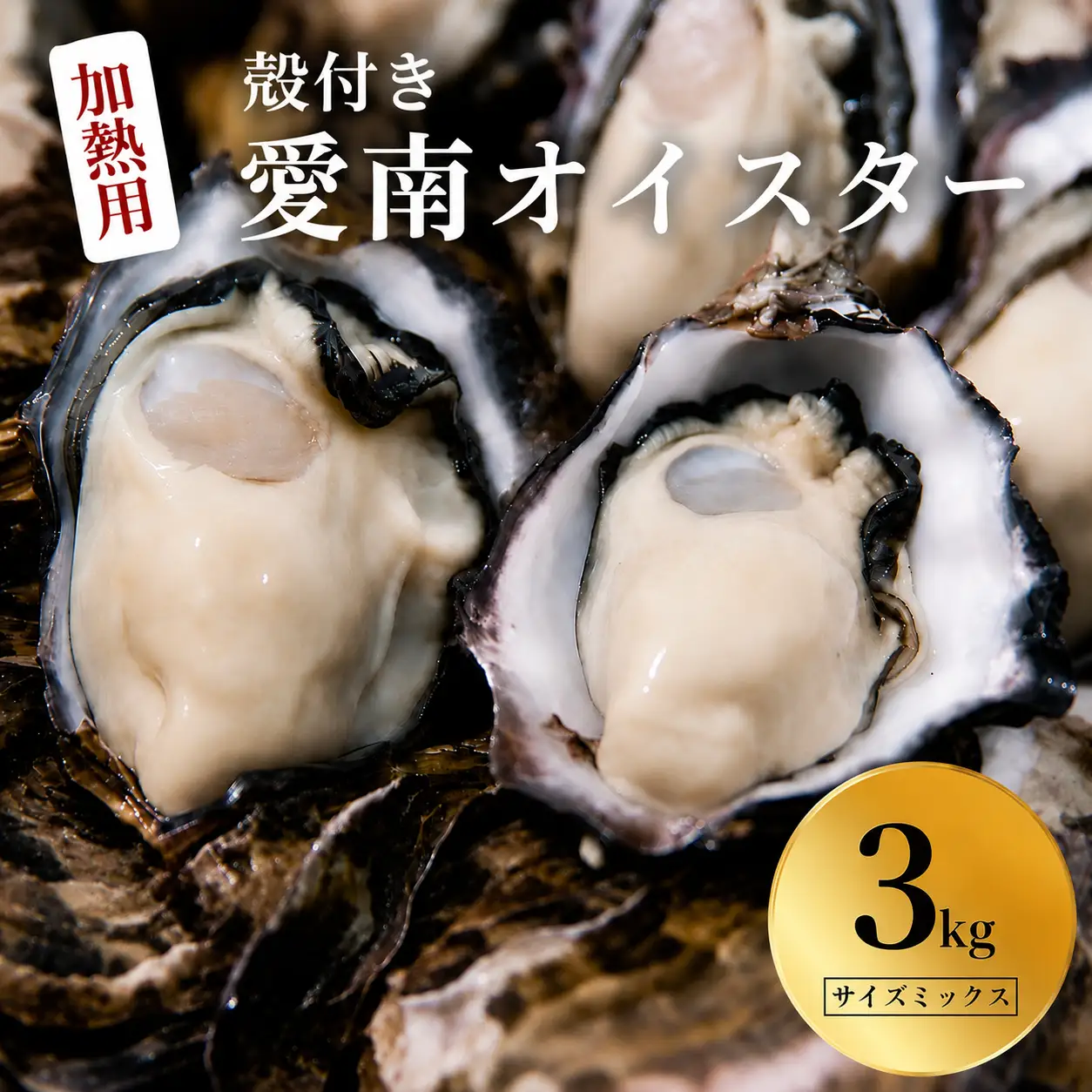 愛南 オイスター 3kg 牡蠣 加熱用 殻付き 牡蠣