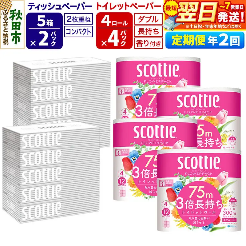 《6ヶ月ごとに2回お届け》スコッティ トイレットペーパー ダブル 3倍長持ち 香り付 4ロール×4パック＆ティッシュペーパー 200組 5箱×2パック 秋田市オリジナル 最短翌日発送