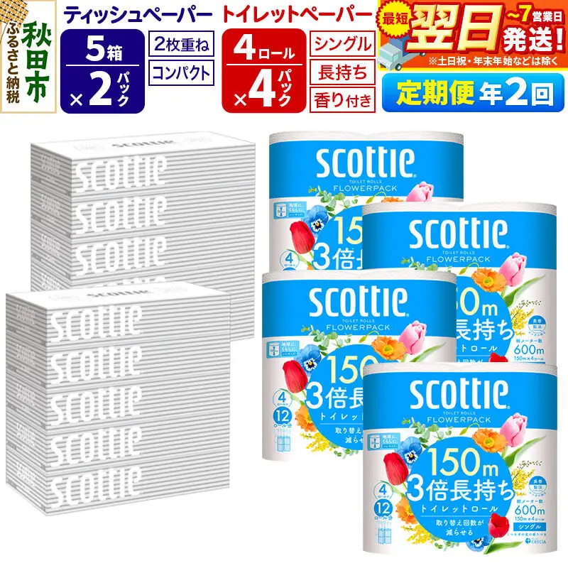 《6ヶ月ごとに2回お届け》スコッティ トイレットペーパー シングル 3倍長持ち 香り付 4ロール×4パック＆ティッシュペーパー 200組 5箱×2パック 秋田市オリジナル 最短翌日発送