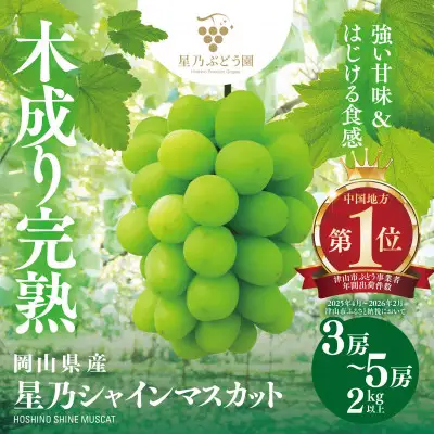星乃 シャインマスカット 2kg以上 3～5房 数量限定 岡山県産【1778126】