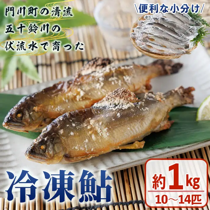 冷凍鮎(約1kg・10～14匹) 鮎 冷凍 小分け 国産 門川町産 宮崎県産 塩焼き あゆ 魚 魚介 川魚 養殖 香魚 甘露煮 【ME-04】【米良水産】