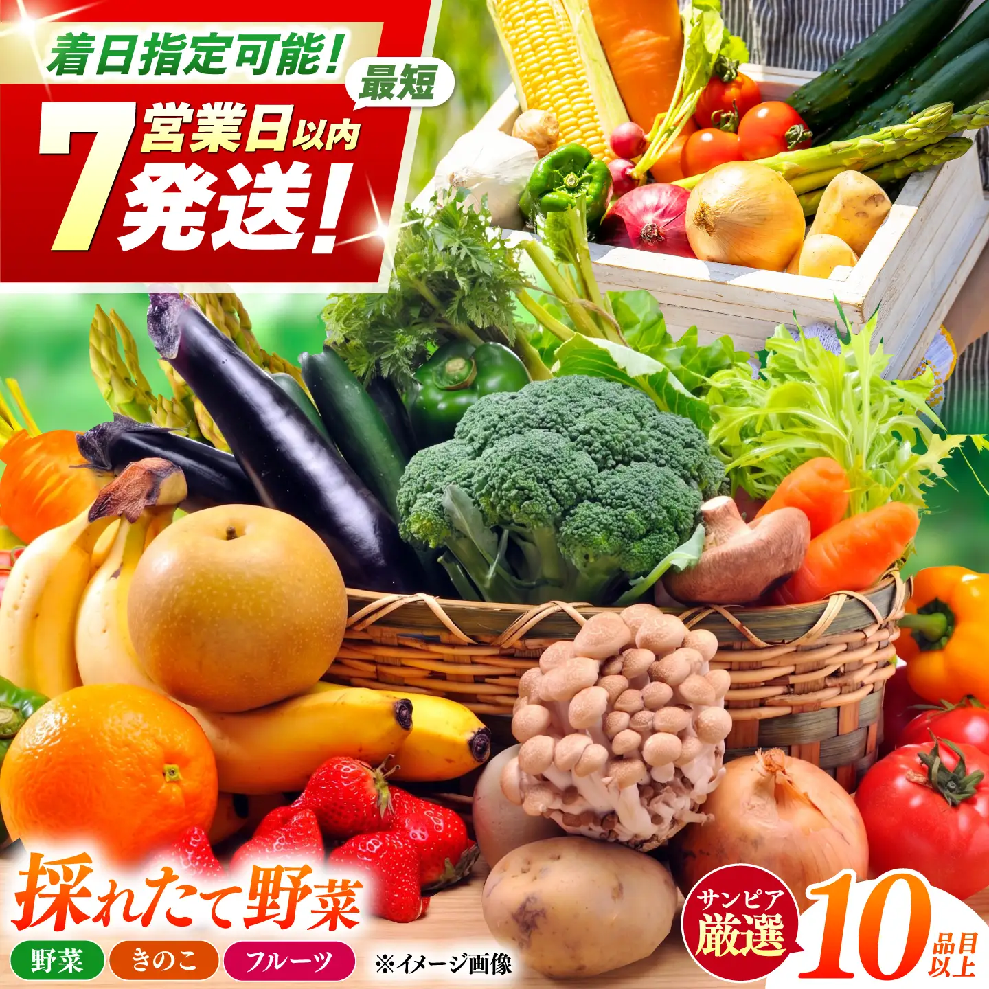 ＜最短7営業日以内発送!＞採れたて野菜 お楽しみ便 ( 野菜 果物 きのこ 10品目以上 ) 野菜 フルーツ やさい 野菜セット 旬 / 南島原市 / サンピア[SHB001]