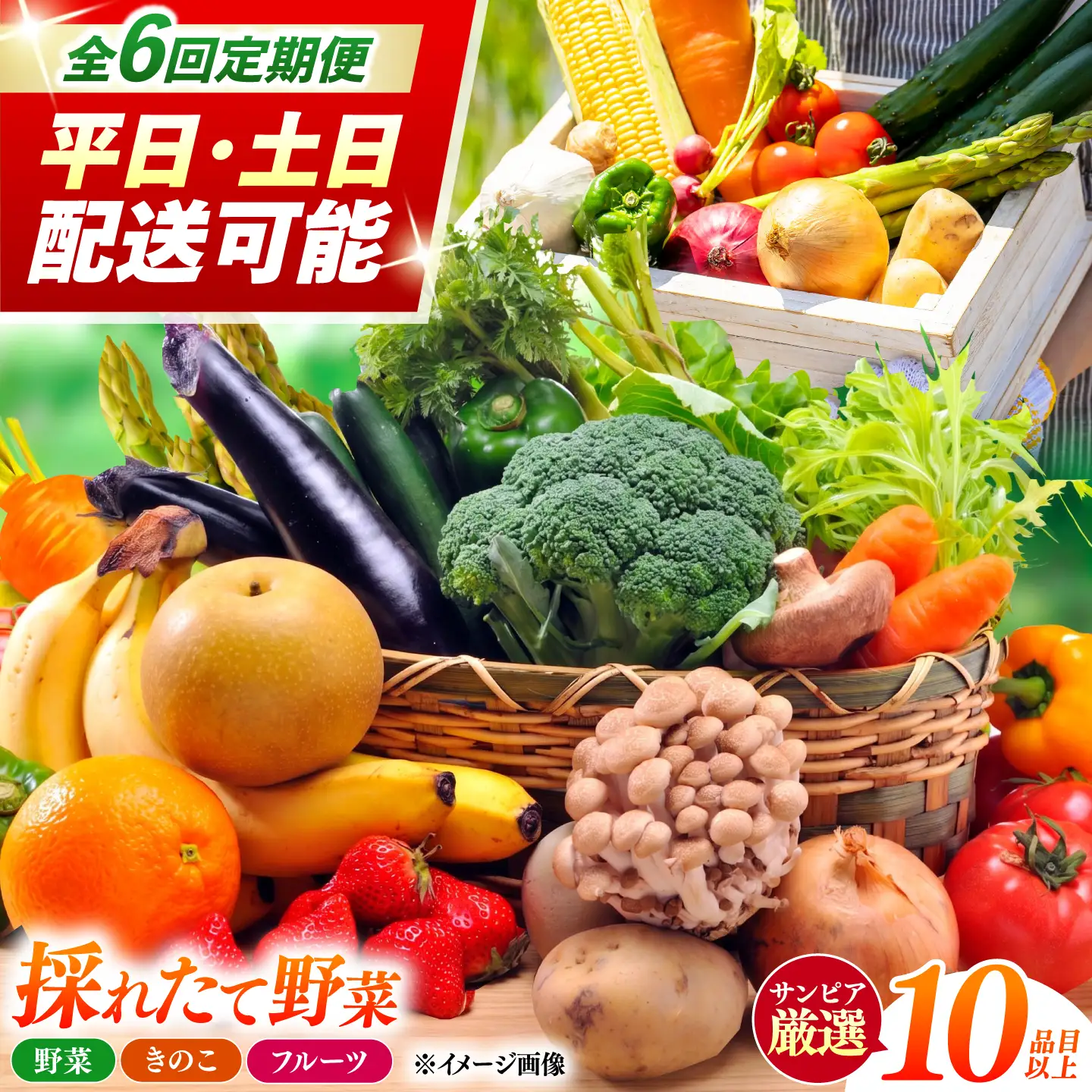 【6回定期便】＜配送時期が選べる＞採れたて野菜 お楽しみ便 ( 野菜 果物 きのこ 10品目以上 ) 野菜 フルーツ やさい 野菜セット 野菜定期便 旬 定期便 毎月 / 南島原市 / サンピア[SHB003]