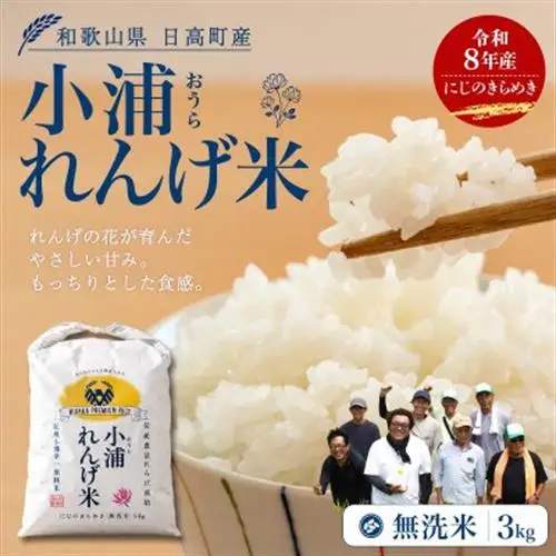 【令和8年産 新米】小浦れんげ米(にじのきらめき) 無洗米 3kg【1779274】
