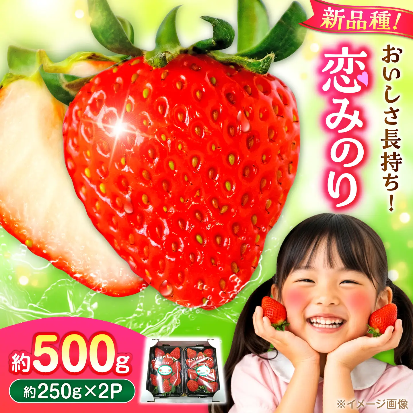 【先行予約】【2027年3月中旬より順次発送】いちご 恋みのり 百花園ファーム 約500g（約250g×2P） お試し用 11粒から14粒/P 2Lサイズ 【株式会社合志百花園ファーム】[AYDW001]