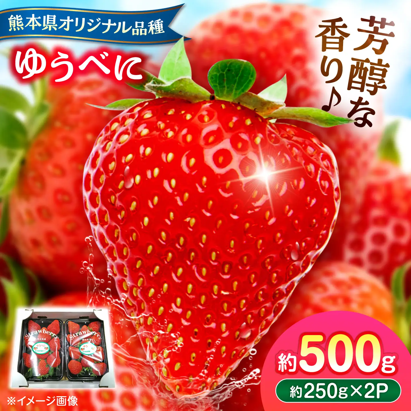 【先行予約】【2027年3月中旬より順次発送】いちご ゆうべに 百花園ファーム 約500g（約250g×2P） お試し用 11粒から14粒/P 2Lサイズ 【株式会社合志百花園ファーム】[AYDW005]