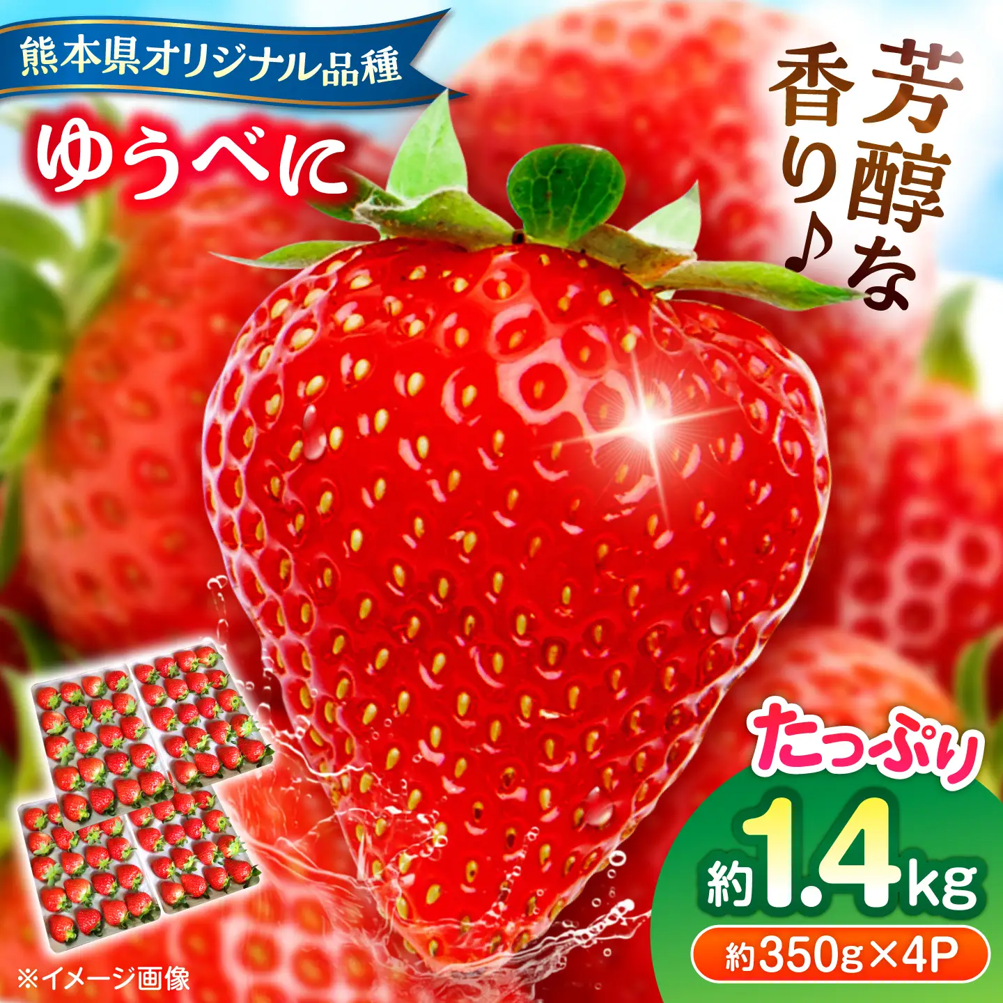 【先行予約】【2027年3月中旬より順次発送】いちご ゆうべに 百花園ファーム 約1.4kg（約350g×4P）20粒/P Lサイズ 【株式会社合志百花園ファーム】[AYDW007]