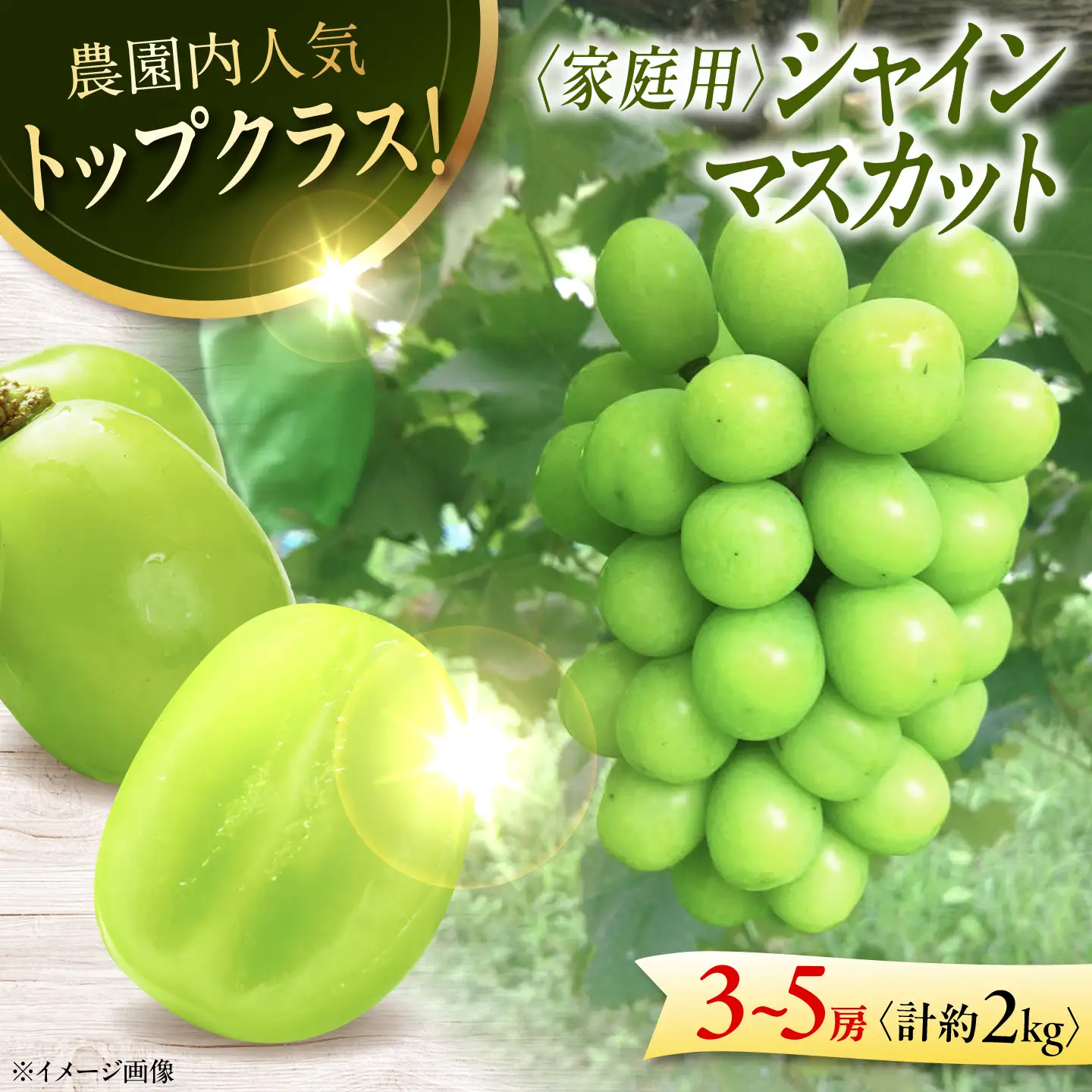 家庭用 シャインマスカット 2kg (3から5房)  ぶどう マスカット [APCK007]