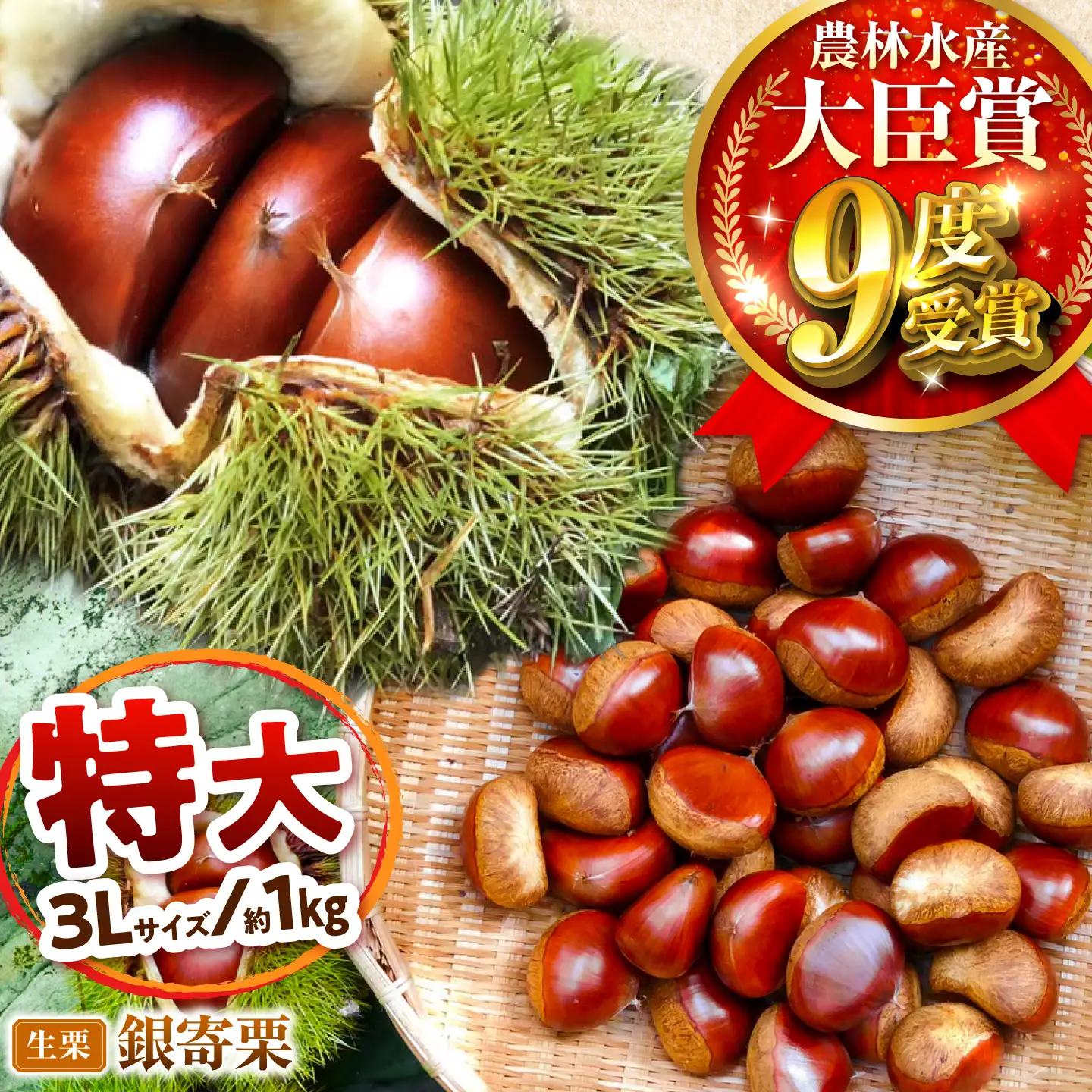 銀寄栗【先行予約】 特大3L 1kg 約30粒 栗 BKCC001