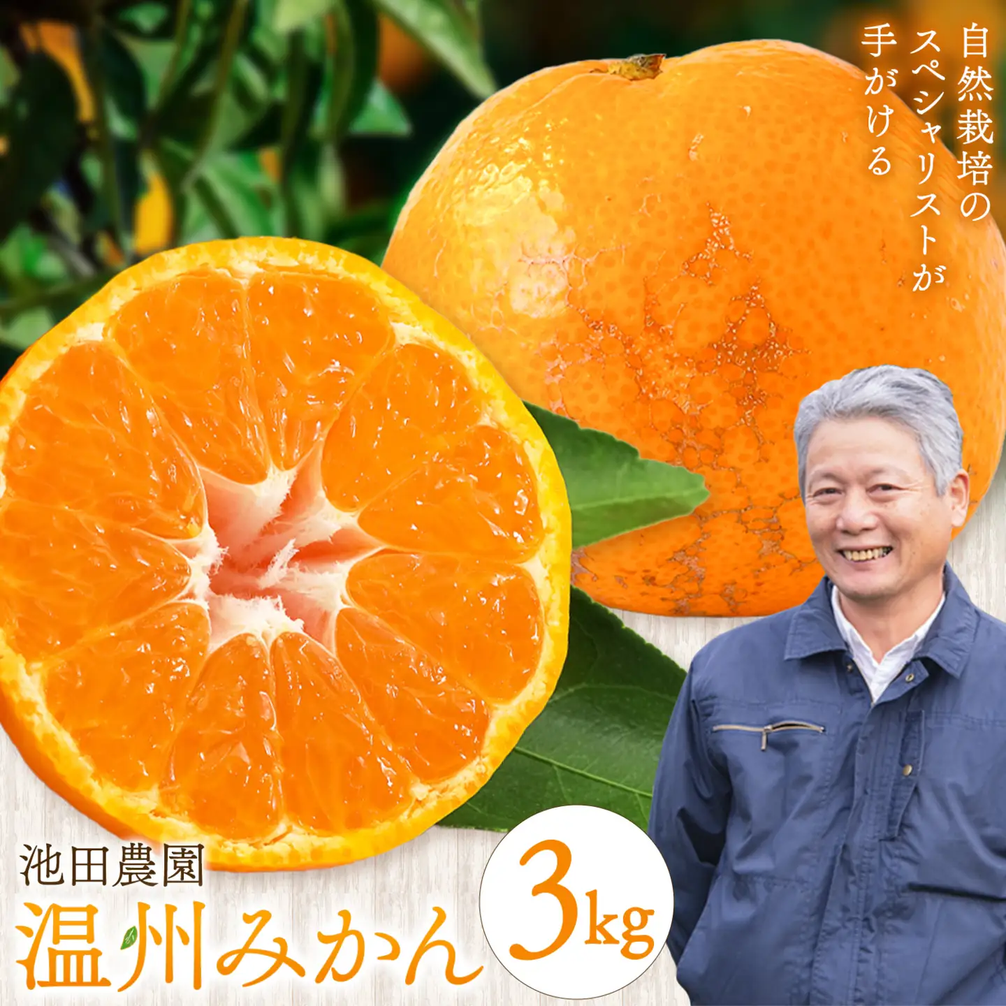 温州みかん 3kg 池田農園