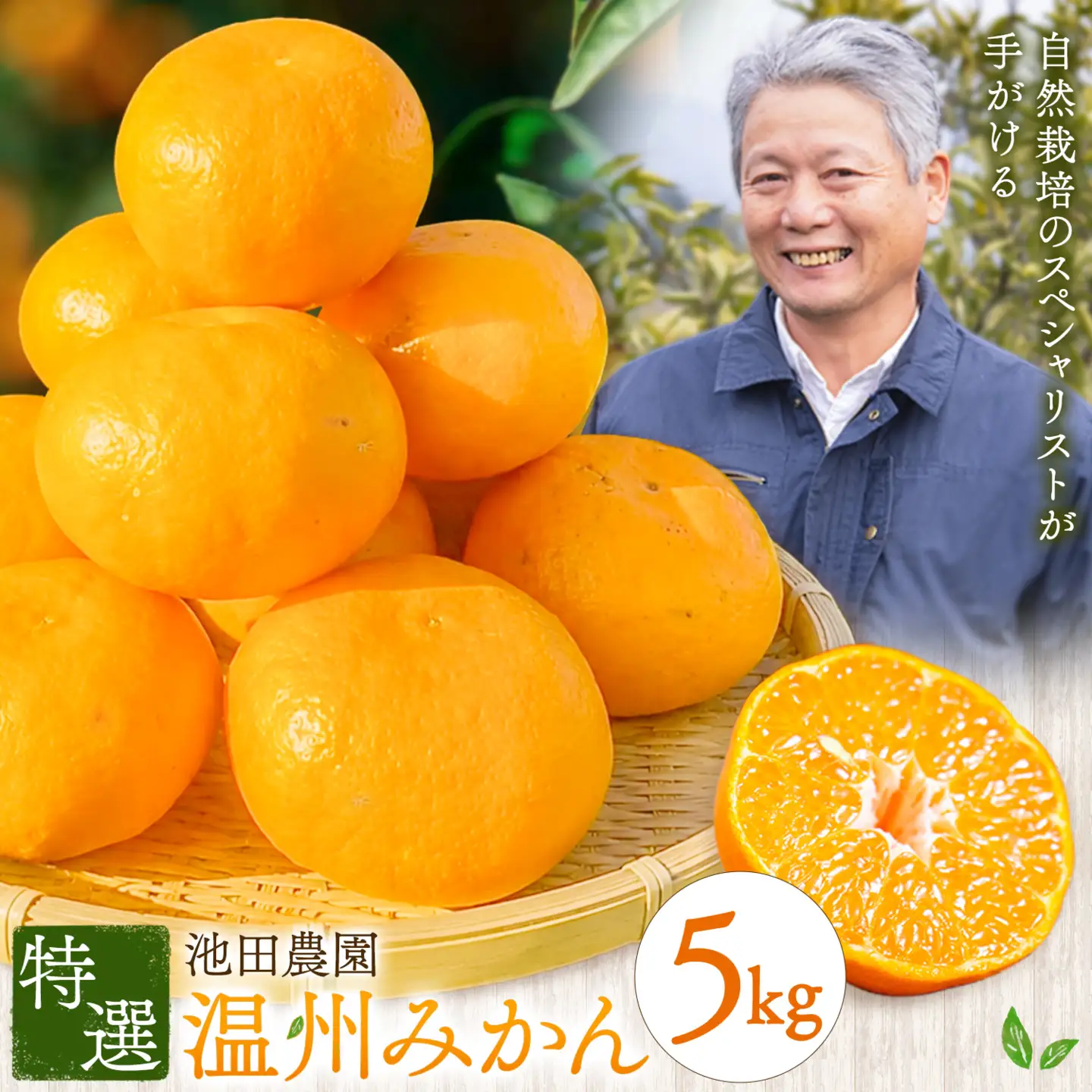 特選 温州みかん 5kg 池田農園