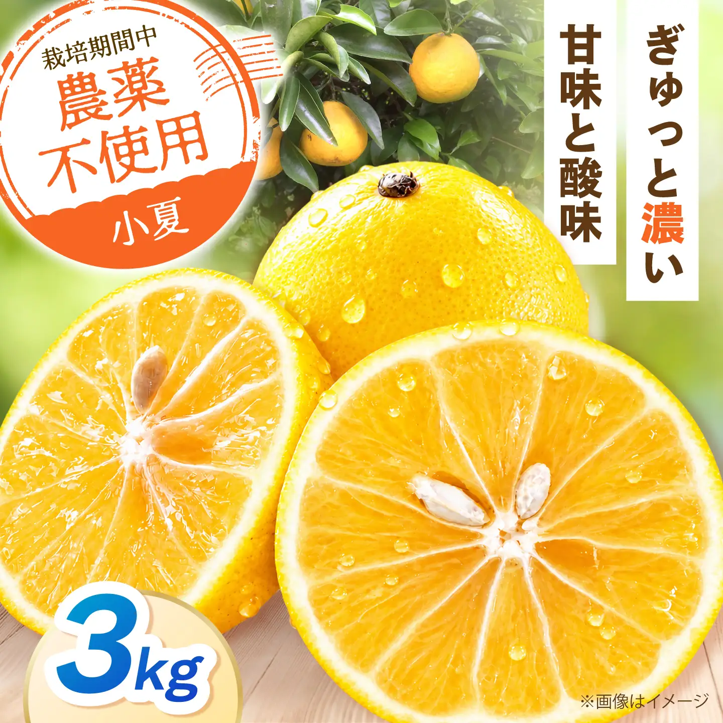 【先行予約】自然栽培小夏 3kg〈2027年4月1日?6月30日発送〉 / 柑橘 自然 土佐市 【有限会社四万十くじら】[BQBR016]