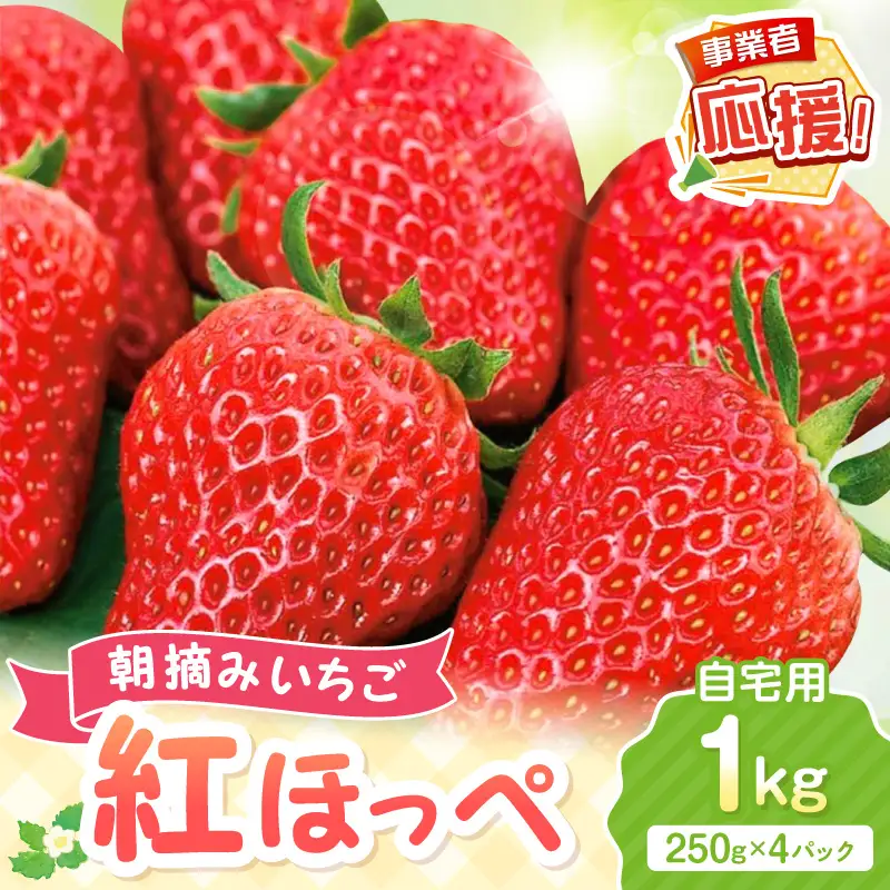 【2027年1月～2027年4月発送予定】【自宅用】朝摘みいちご 紅ほっぺ  1kg【ふるさと納税3.0】【117E-004-2027】