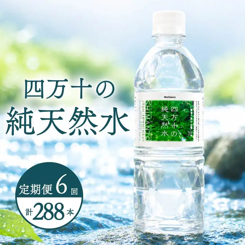 【定期便6回】 500ml 48本 備蓄 ミネラルウォーター 天然水