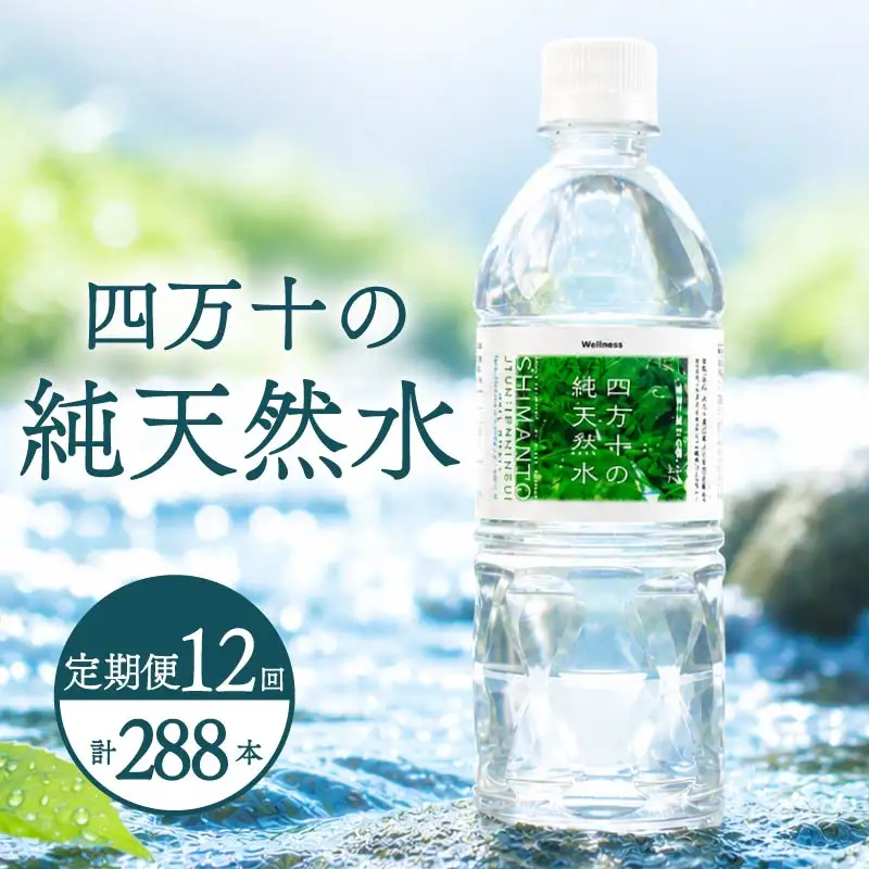 【定期便12回】 500ml 24本 備蓄 ミネラルウォーター 天然水