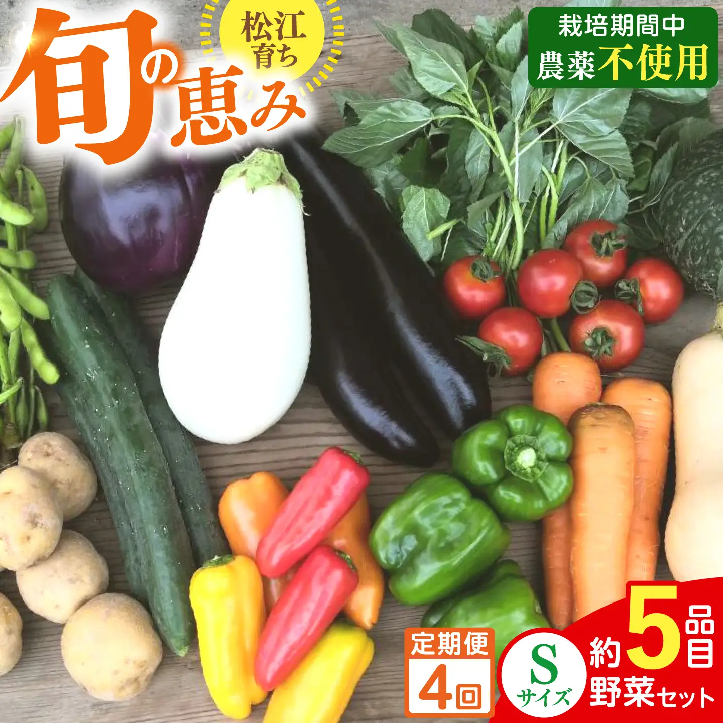 【4回】野菜定期便 8品目 野菜セット[ALBD011]