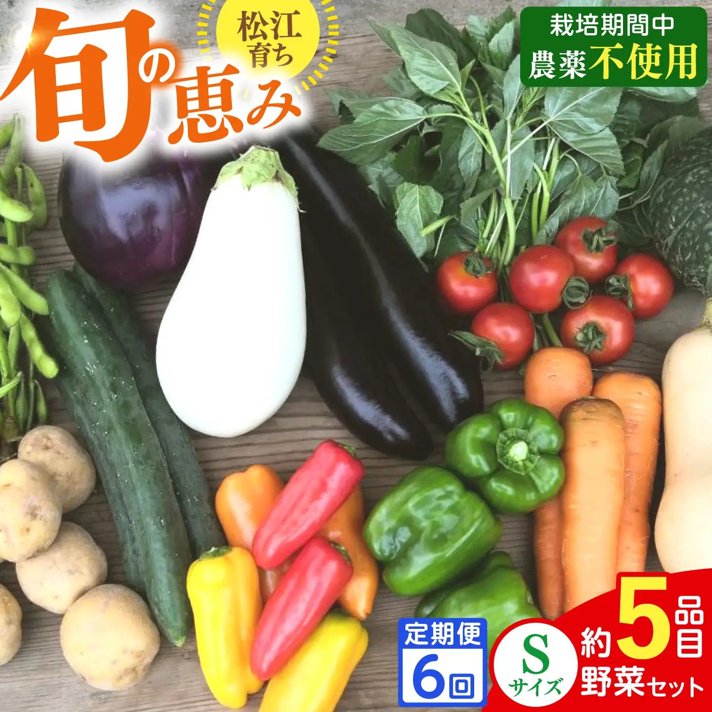 定期便/計6回 須山農園野菜（5種）【野菜】[ALBD012]